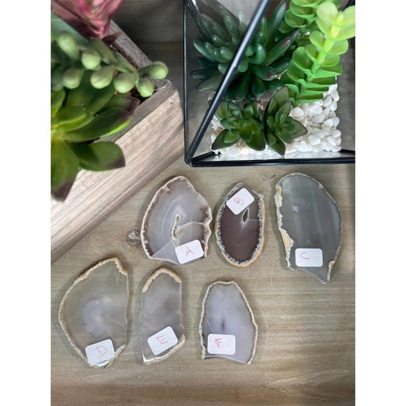 Agate Slices Polished Crystal E and F - Picture 1 of 5